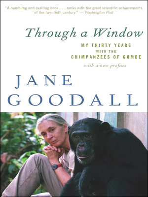 Through a Window - ebook